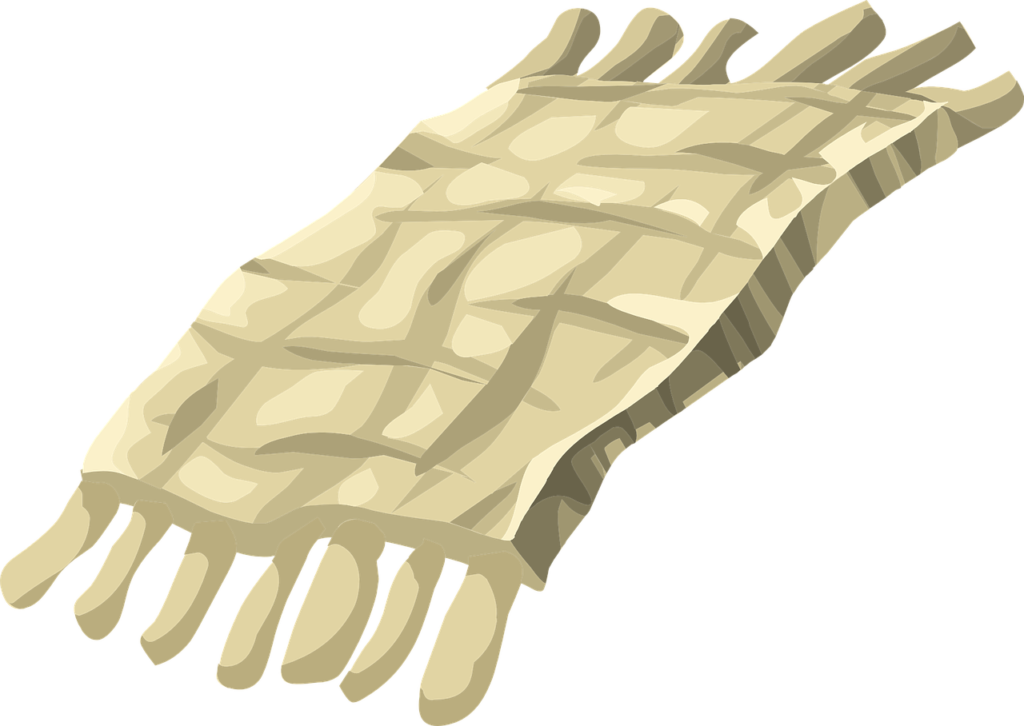 carpet, rug, fabric-576243.jpg